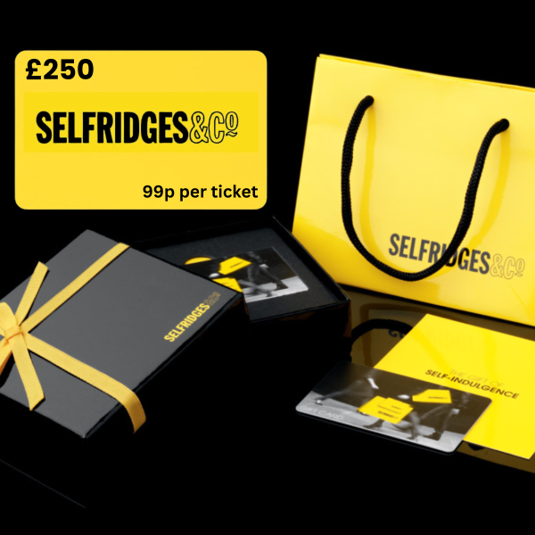 £250 SELFRIDGES GIFT CARD JUST 99P